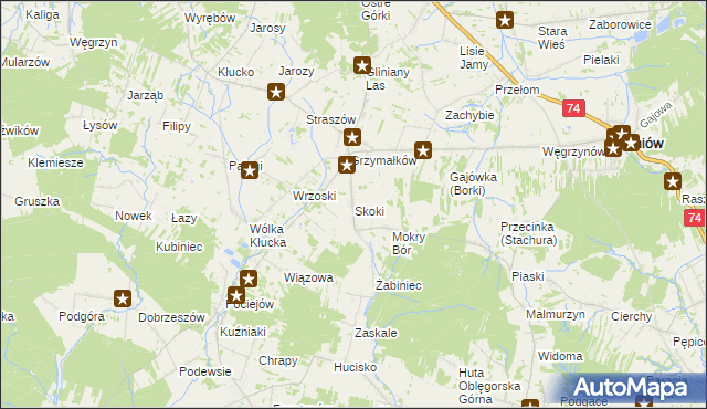 mapa Skoki gmina Mniów, Skoki gmina Mniów na mapie Targeo