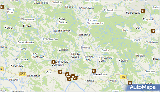 mapa Śliwnica gmina Dubiecko, Śliwnica gmina Dubiecko na mapie Targeo
