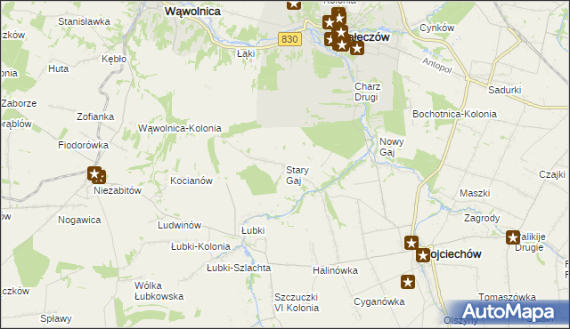 mapa Stary Gaj gmina Wojciechów, Stary Gaj gmina Wojciechów na mapie Targeo