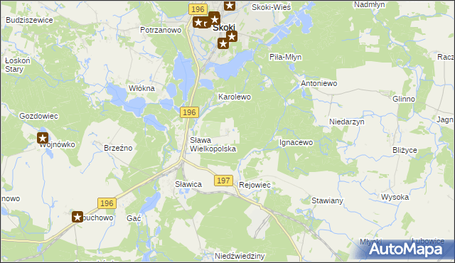 mapa Szczodrochowo gmina Skoki, Szczodrochowo gmina Skoki na mapie Targeo