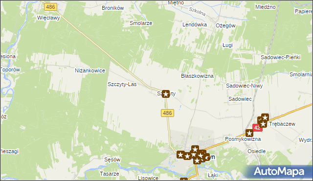 mapa Szczyty gmina Działoszyn, Szczyty gmina Działoszyn na mapie Targeo