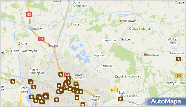 mapa Topórek, Topórek na mapie Targeo
