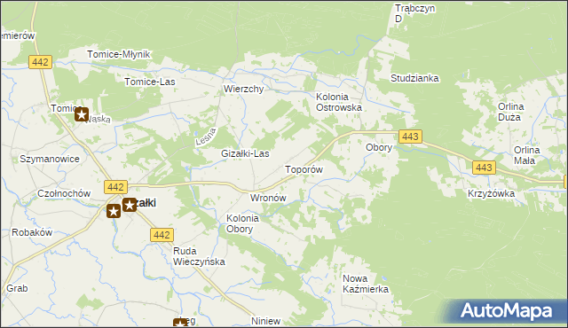 mapa Toporów gmina Gizałki, Toporów gmina Gizałki na mapie Targeo