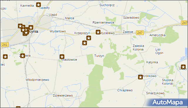 mapa Turzyn gmina Kcynia, Turzyn gmina Kcynia na mapie Targeo