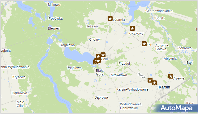 mapa Wiele gmina Karsin, Wiele gmina Karsin na mapie Targeo