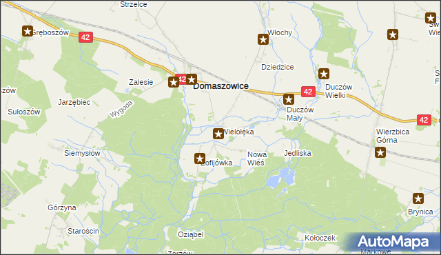 mapa Wielołęka gmina Domaszowice, Wielołęka gmina Domaszowice na mapie Targeo