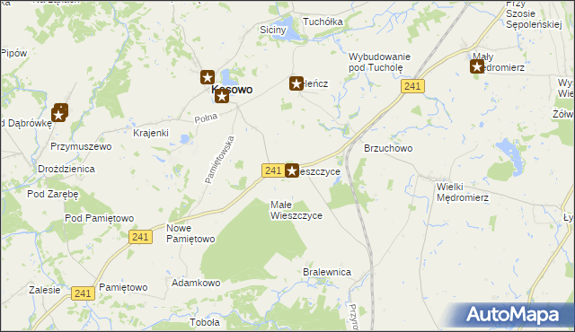 mapa Wieszczyce gmina Kęsowo, Wieszczyce gmina Kęsowo na mapie Targeo