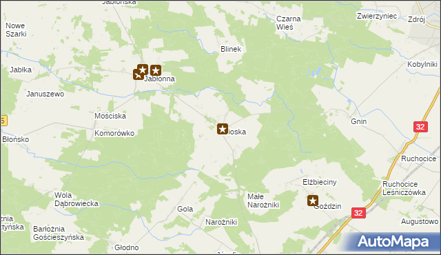 mapa Wioska gmina Rakoniewice, Wioska gmina Rakoniewice na mapie Targeo