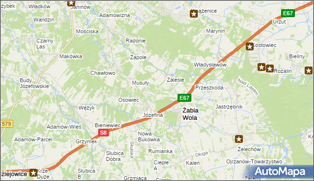 mapa Wycinki Osowskie, Wycinki Osowskie na mapie Targeo