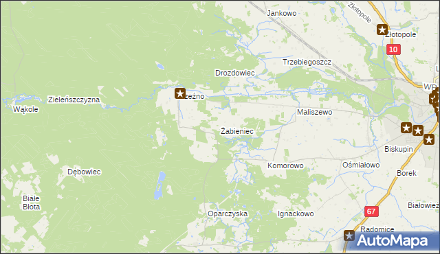 mapa Żabieniec gmina Lipno, Żabieniec gmina Lipno na mapie Targeo