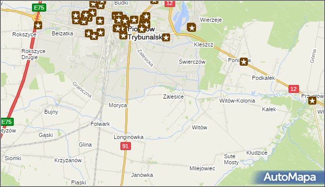 mapa Zalesice gmina Sulejów, Zalesice gmina Sulejów na mapie Targeo