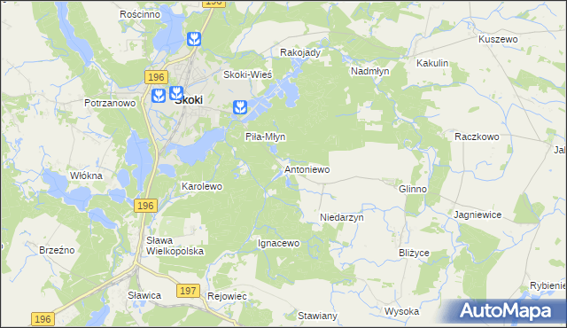 mapa Antoniewo gmina Skoki, Antoniewo gmina Skoki na mapie Targeo