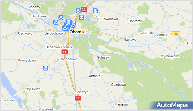 mapa Gołaszyn gmina Oborniki, Gołaszyn gmina Oborniki na mapie Targeo