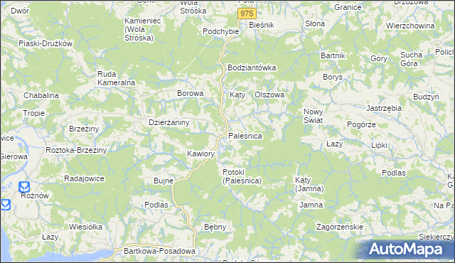 mapa Paleśnica, Paleśnica na mapie Targeo