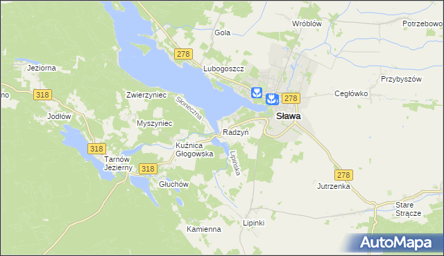 mapa Radzyń gmina Sława, Radzyń gmina Sława na mapie Targeo