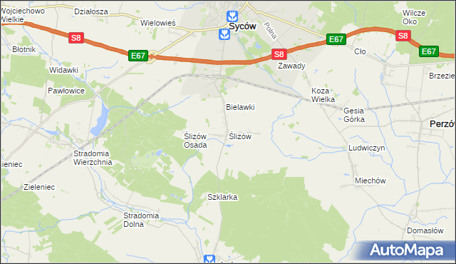 mapa Ślizów, Ślizów na mapie Targeo