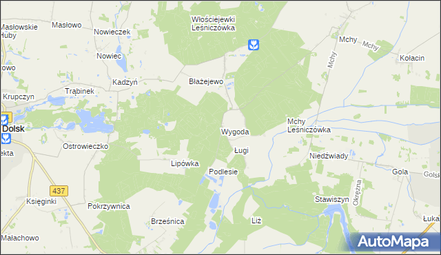 mapa Wygoda gmina Dolsk, Wygoda gmina Dolsk na mapie Targeo