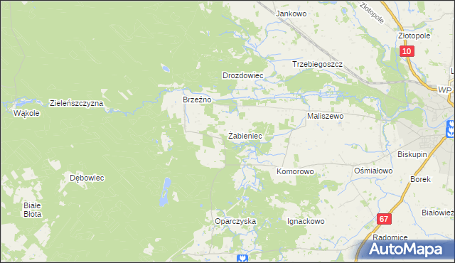 mapa Żabieniec gmina Lipno, Żabieniec gmina Lipno na mapie Targeo