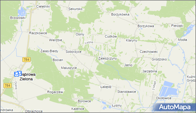 mapa Zaleszczyny gmina Dąbrowa Zielona, Zaleszczyny gmina Dąbrowa Zielona na mapie Targeo