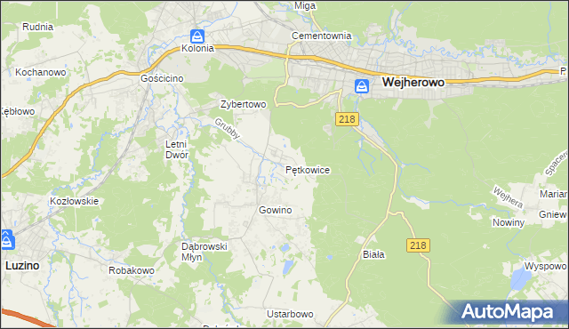 mapa Pętkowice gmina Wejherowo, Pętkowice gmina Wejherowo na mapie Targeo