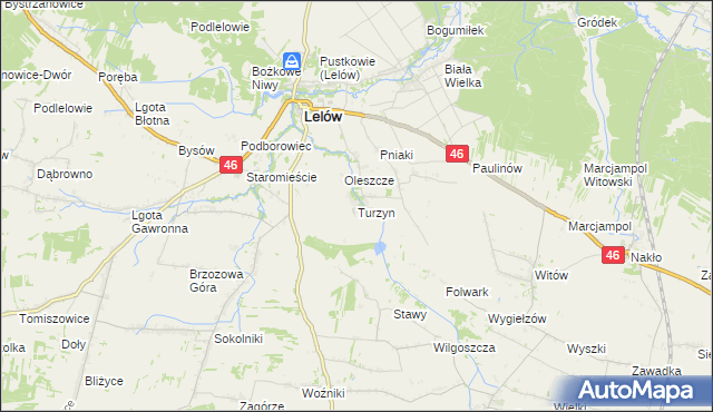 mapa Turzyn gmina Lelów, Turzyn gmina Lelów na mapie Targeo