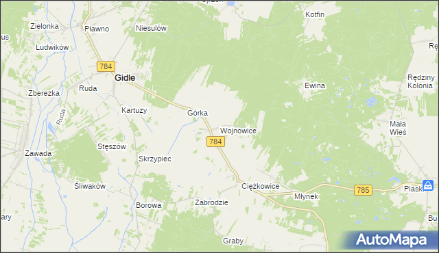 mapa Wojnowice gmina Gidle, Wojnowice gmina Gidle na mapie Targeo