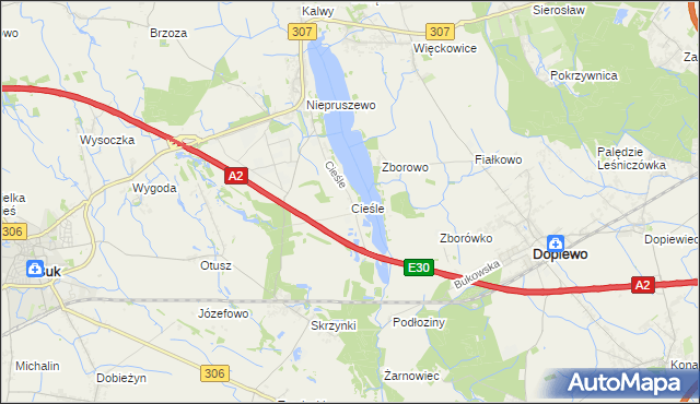 mapa Cieśle gmina Buk, Cieśle gmina Buk na mapie Targeo