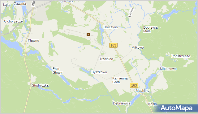 mapa Trzciniec gmina Czaplinek, Trzciniec gmina Czaplinek na mapie Targeo