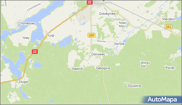 mapa Ostrowiec gmina Dobiegniew, Ostrowiec gmina Dobiegniew na mapie Targeo