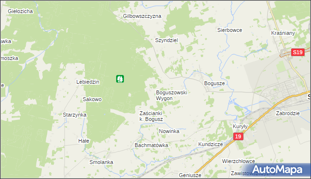 mapa Boguszowski Wygon, Boguszowski Wygon na mapie Targeo