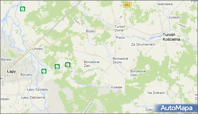mapa Borowskie Wypychy, Borowskie Wypychy na mapie Targeo