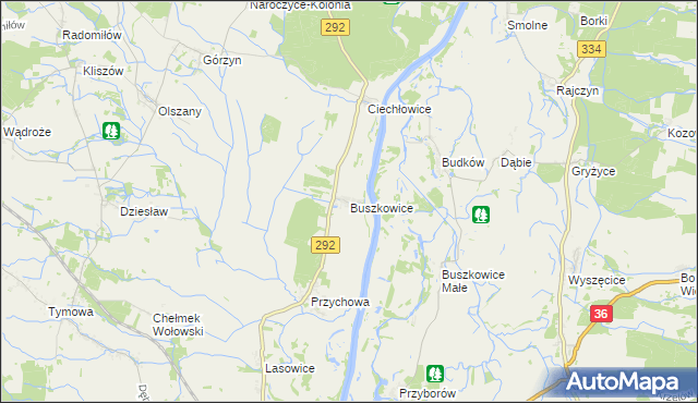 mapa Buszkowice gmina Ścinawa, Buszkowice gmina Ścinawa na mapie Targeo