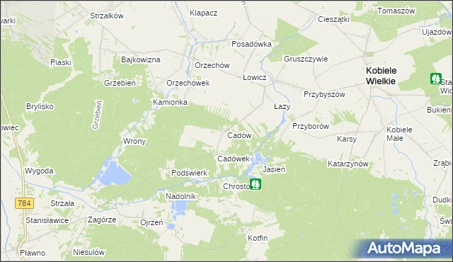 mapa Cadów, Cadów na mapie Targeo