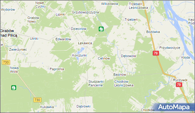 mapa Celinów gmina Grabów nad Pilicą, Celinów gmina Grabów nad Pilicą na mapie Targeo