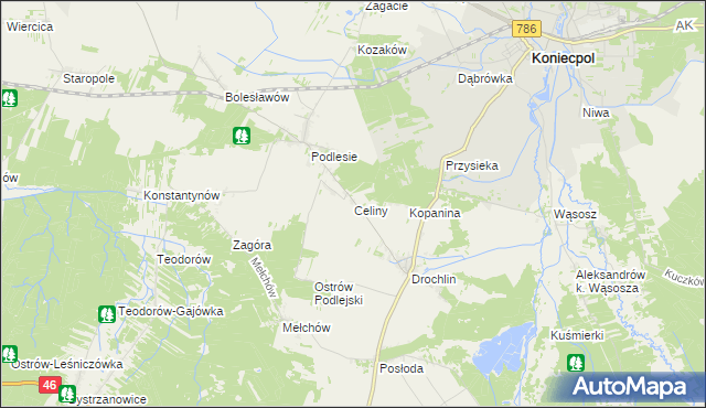mapa Celiny gmina Lelów, Celiny gmina Lelów na mapie Targeo
