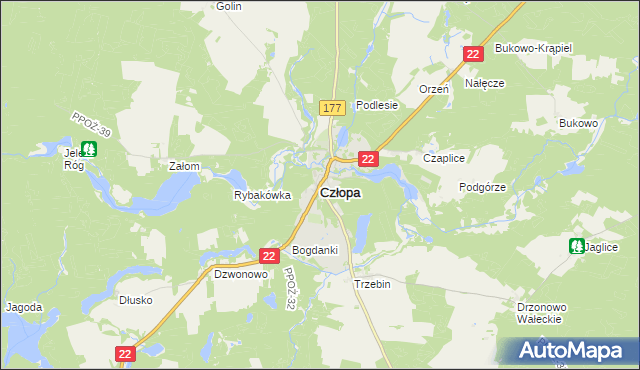 mapa Człopa, Człopa na mapie Targeo