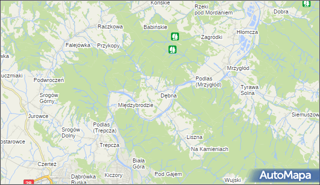 mapa Dębna gmina Sanok, Dębna gmina Sanok na mapie Targeo