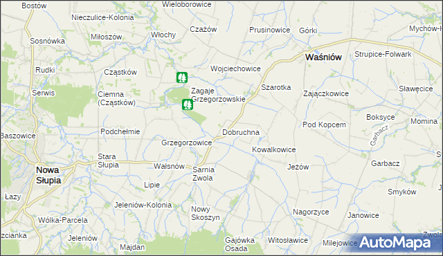 mapa Dobruchna, Dobruchna na mapie Targeo