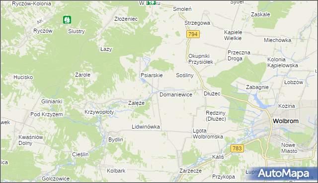 mapa Domaniewice gmina Wolbrom, Domaniewice gmina Wolbrom na mapie Targeo