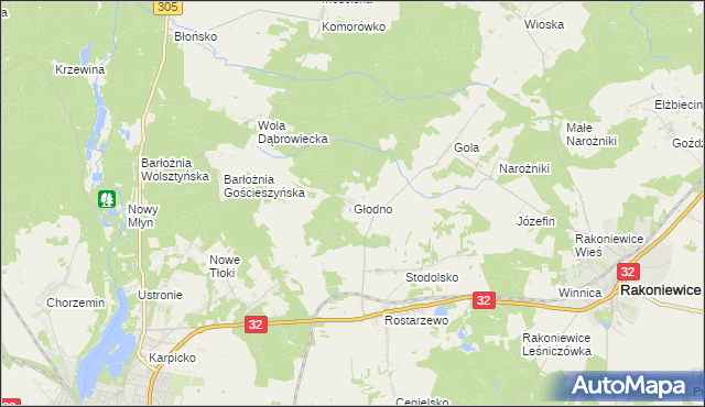 mapa Głodno gmina Rakoniewice, Głodno gmina Rakoniewice na mapie Targeo