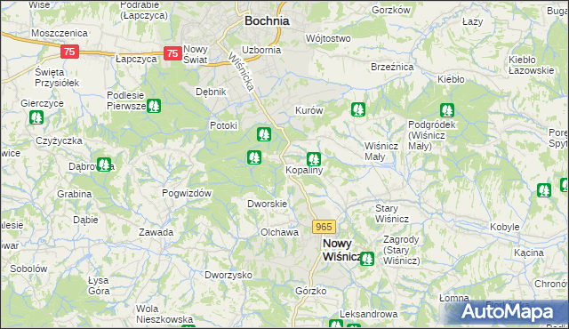 mapa Kopaliny gmina Nowy Wiśnicz, Kopaliny gmina Nowy Wiśnicz na mapie Targeo