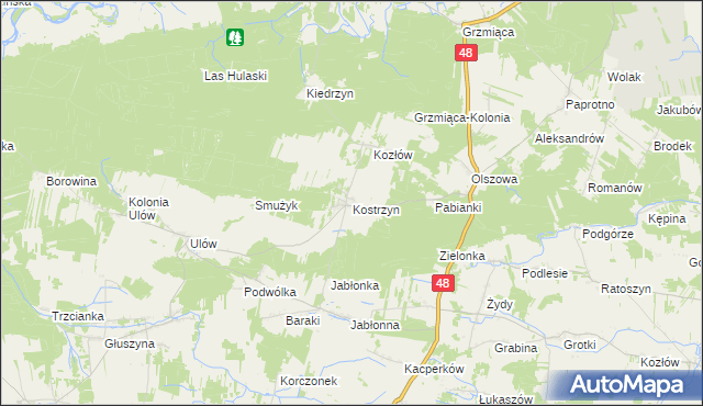 mapa Kostrzyn gmina Wyśmierzyce, Kostrzyn gmina Wyśmierzyce na mapie Targeo