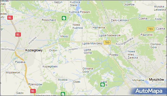 mapa Lgota Górna, Lgota Górna na mapie Targeo