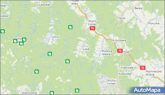mapa Łosie gmina Łabowa, Łosie gmina Łabowa na mapie Targeo