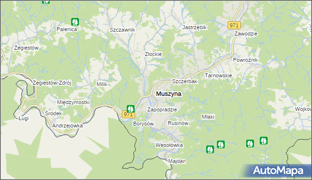 mapa Muszyna, Muszyna na mapie Targeo