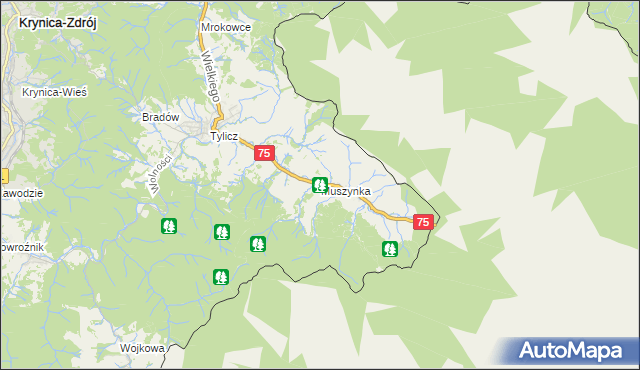 mapa Muszynka, Muszynka na mapie Targeo