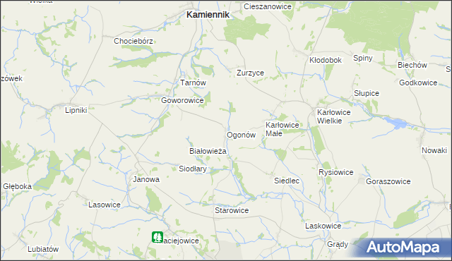 mapa Ogonów gmina Kamiennik, Ogonów gmina Kamiennik na mapie Targeo