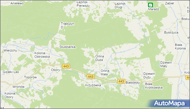 mapa Orlina Duża, Orlina Duża na mapie Targeo