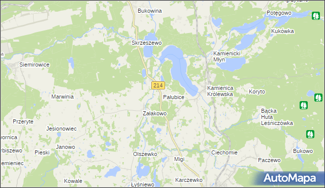 mapa Pałubice, Pałubice na mapie Targeo