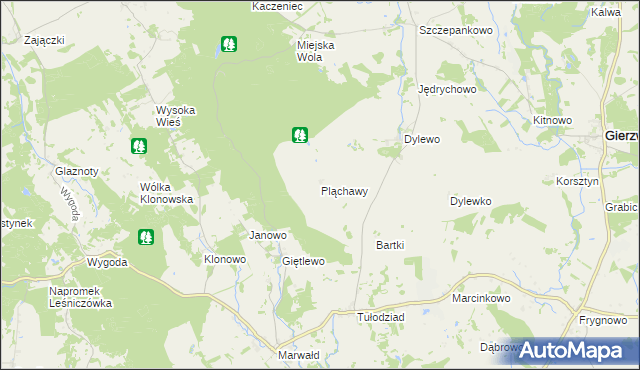 mapa Pląchawy, Pląchawy na mapie Targeo